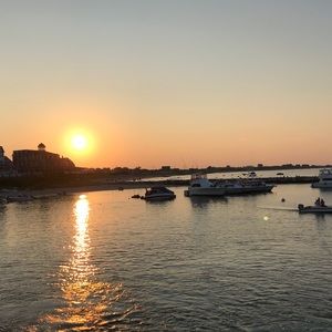 Meet your Posher, Annabelle